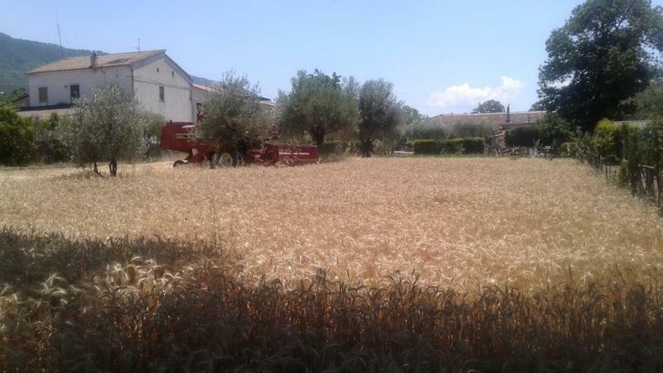 Agriturismo Tre Santi Villa ปาดูลา ภายนอก รูปภาพ